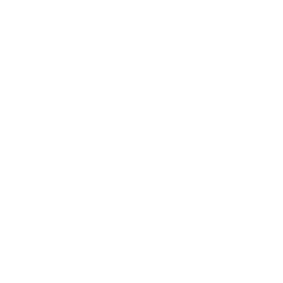 Riz